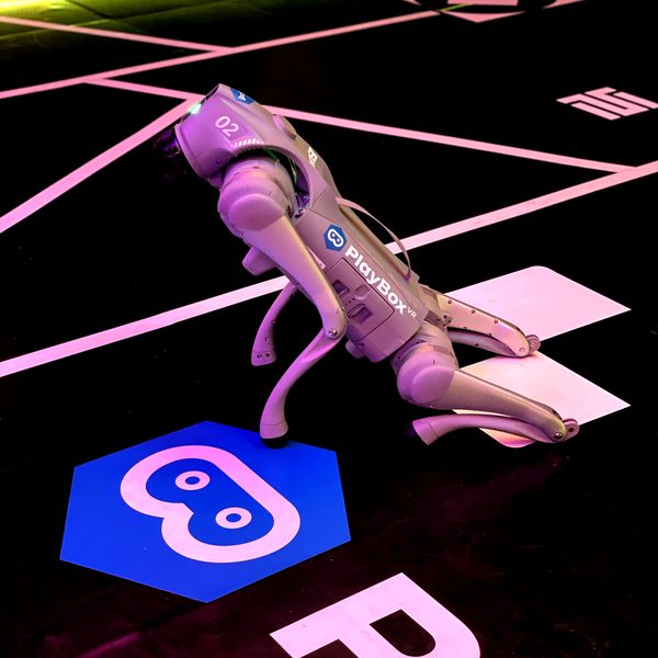 Boxy perro robot